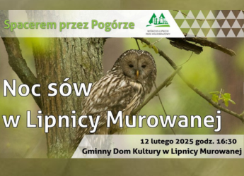 NOC SÓW W LIPNICY MUROWANEJ JUŻ 12 LUTEGO!